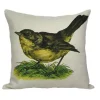 Golden Hill Studio 18" White and Green Wren Bird Throw Pillow with Insert -Cheap Golden Hill Studio Store Belk 686