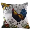 Golden Hill Studio 18" Brown Colorful Rooster and Hen House Background Throw Pillow Cover